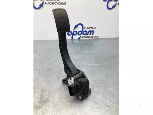 Gaspedaalpositie Sensor-6382526 (17198219)
