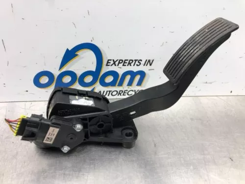 Gaspedaalpositie Sensor-6595853 (16736577)