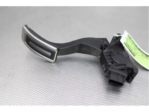 Gaspedaalpositie Sensor-7877206 (15053450)