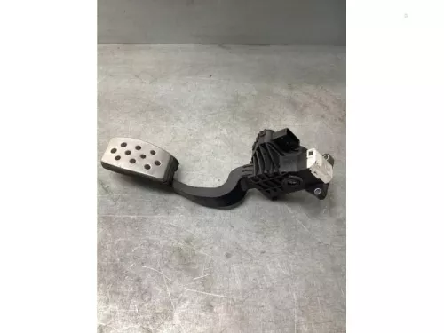 Gaspedaalpositie Sensor-8180176 (21725296)
