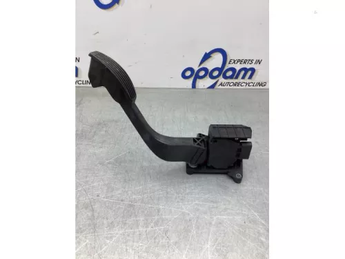 Gaspedaalpositie Sensor-8132532