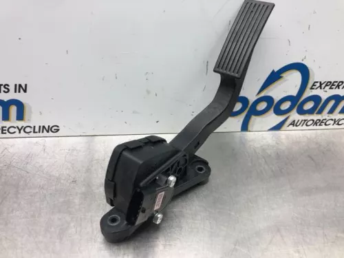 Gaspedaalpositie Sensor-6923658 (16848668)