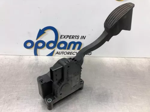 Gaspedaalpositie Sensor-7613461 (17149451)