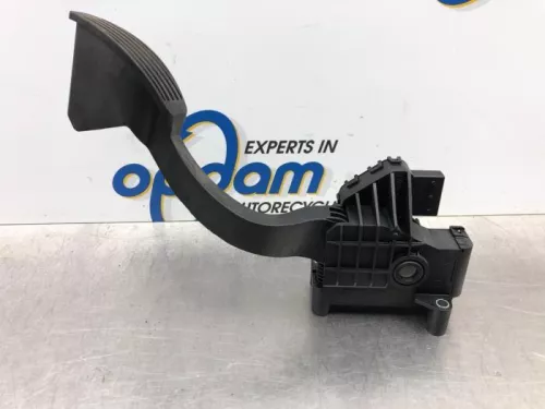 Gaspedaalpositie Sensor-7613461 (17149451)