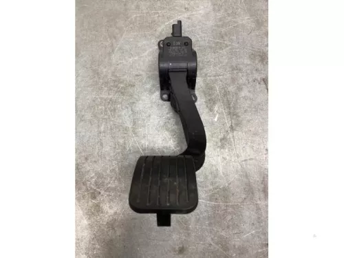 Gaspedaalpositie Sensor-7995590 (19815541)