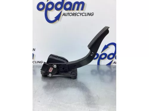 Gaspedaalpositie Sensor-7729992 (16983928)