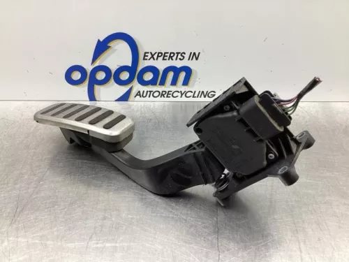Gaspedaalpositie Sensor-7441545 (17322079)