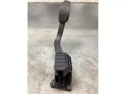 Gaspedaalpositie Sensor-8069355 (19615641)
