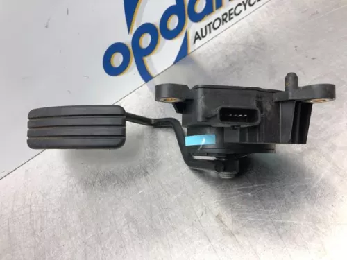 Gaspedaalpositie Sensor-7619495 (16967884)