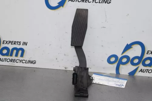 Gaspedaalpositie Sensor-7841877 (15584940)