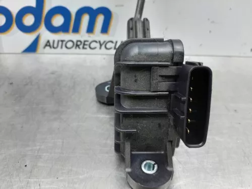 Gaspedaalpositie Sensor-7615152 (15759940)