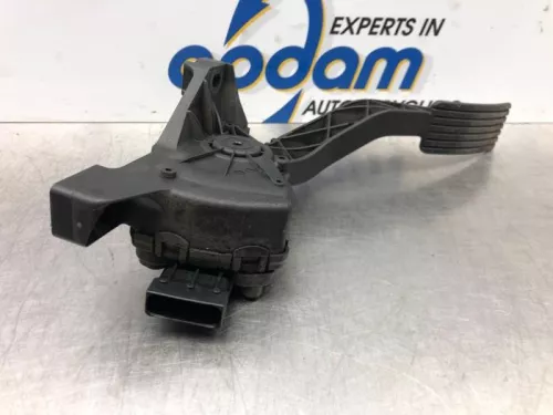 Gaspedaalpositie Sensor-6336950 (17095130)