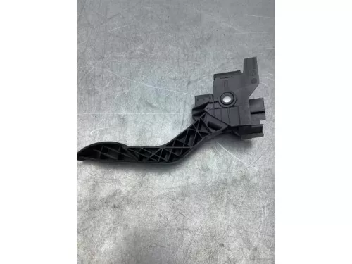 Gaspedaalpositie Sensor-7717666 (17451804)