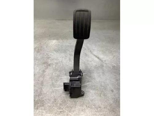 Gaspedaalpositie Sensor-8118846 (20353593)