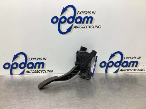 Gaspedaalpositie Sensor-7883737 (9172472)