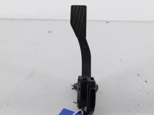 Gaspedaalpositie Sensor-7888837 (5104971)