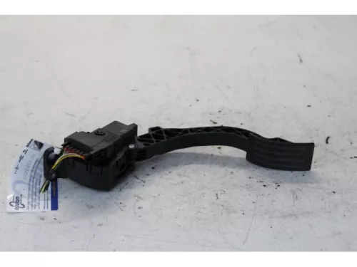 Gaspedaalpositie Sensor-7879375 (13433423)