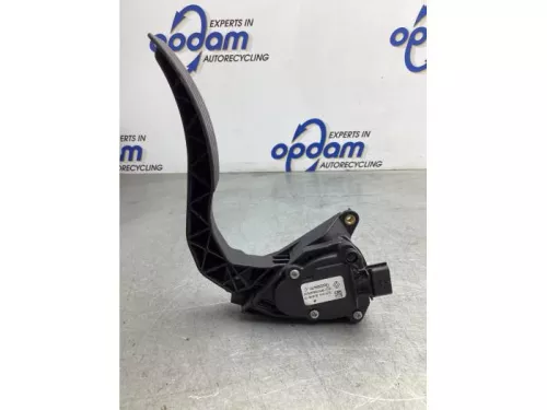 Gaspedaalpositie Sensor-8041874 (19139368)