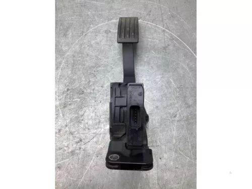 Gaspedaalpositie Sensor-8129897 (19955098)