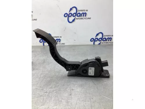 Gaspedaalpositie Sensor-8129897 (19955098)