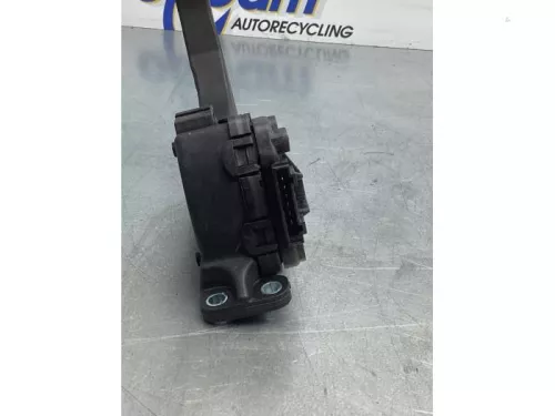 Gaspedaalpositie Sensor-7714596 (17102519)