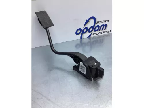Gaspedaalpositie Sensor-6921054