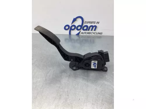 Gaspedaalpositie Sensor-7610031