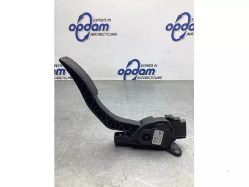 Gaspedaalpositie Sensor-8141869 (21027715)