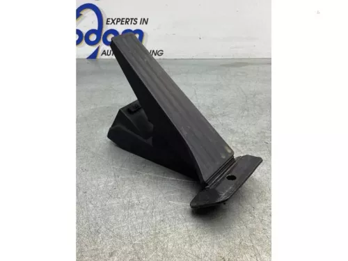 Gaspedaalpositie Sensor-5401117