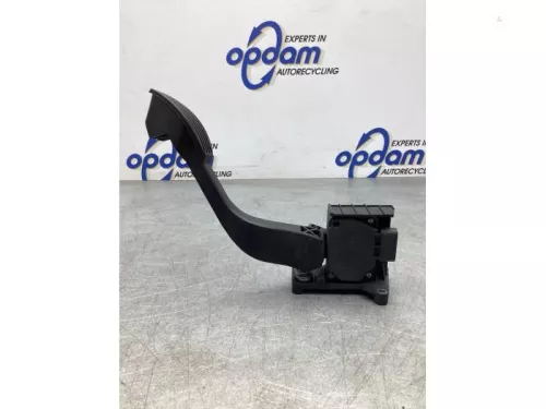 Gaspedaalpositie Sensor-7921381