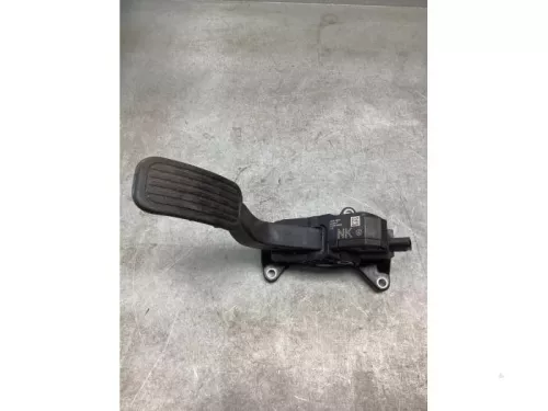 Gaspedaalpositie Sensor-8175775