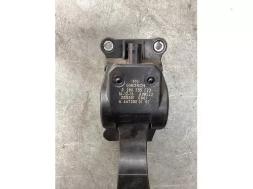 Gaspedaalpositie Sensor-8201329 (21143155)