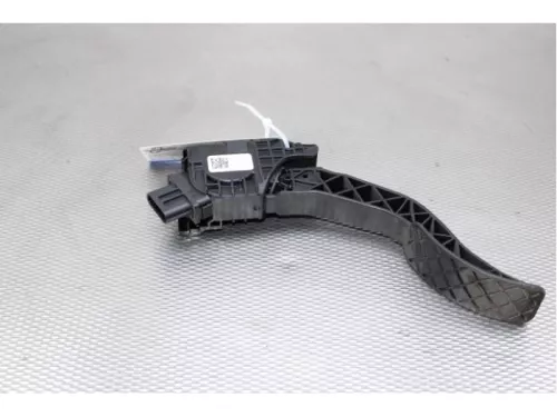 Gaspedaalpositie Sensor-7714385 (13093621)