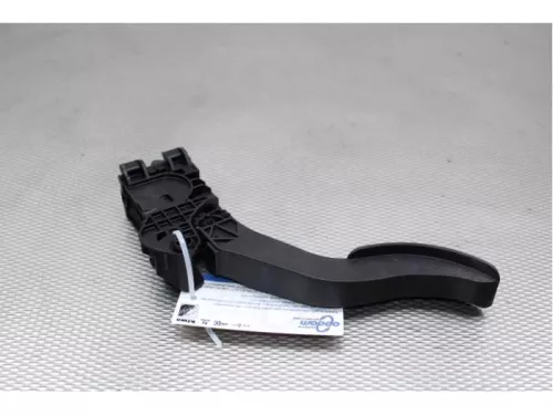Gaspedaalpositie Sensor-7714385 (13093621)