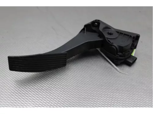 Gaspedaalpositie Sensor-4961567 (13921380)