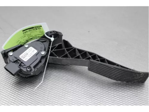 Gaspedaalpositie Sensor-4961567 (13921380)
