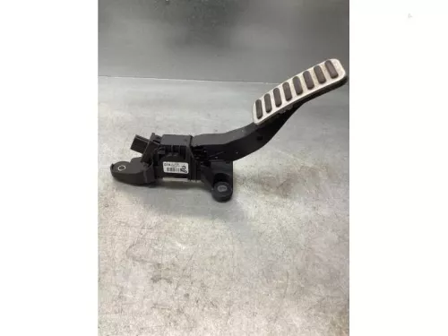 Gaspedaalpositie Sensor-7923039 (18094400)