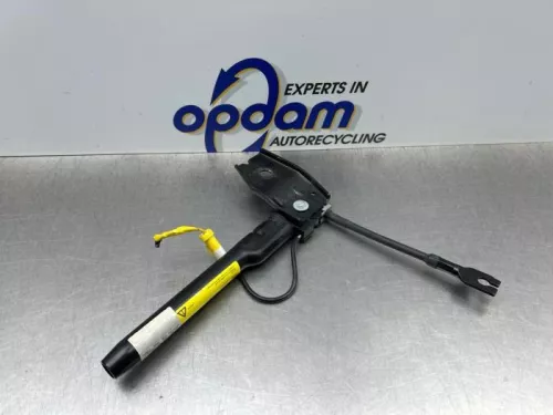 Gordelspanner links-8271688 (22442802)