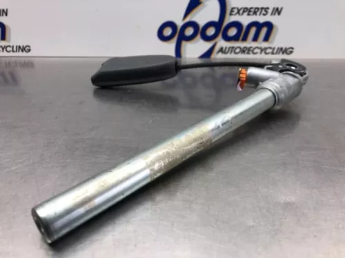 Gordelspanner links-8197146 (20981741)