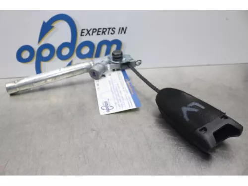 Gordelspanner links-7612456 (14234071)