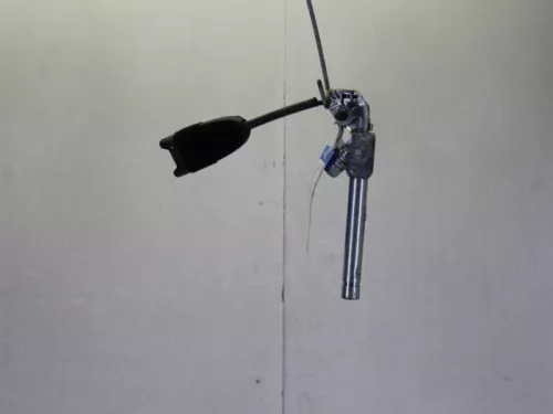 Gordelspanner links-7882894