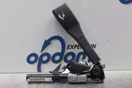 Gordelspanner rechts-7587777 (15333571)