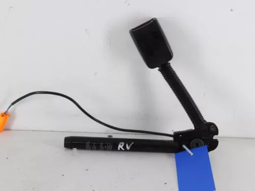 Gordelspanner rechts-7888846 (5203833)