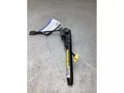 Gordelspanner rechts-8254144 (22328136)