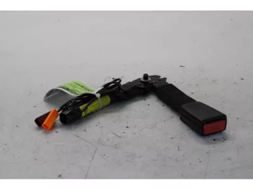 Gordelspanner rechts-7714274 (13175274)