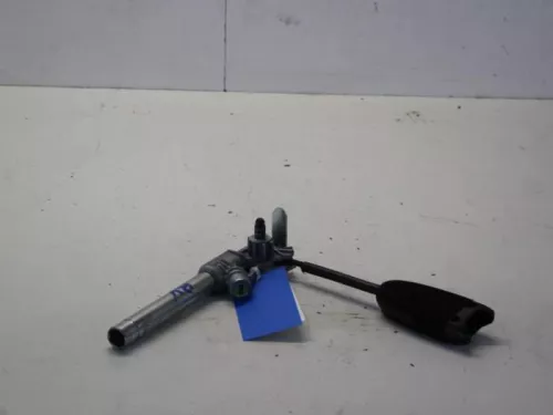 Gordelspanner rechts-7881712 (10564190)