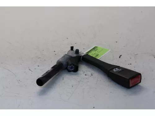 Gordelspanner rechts-7879050 (13403835)