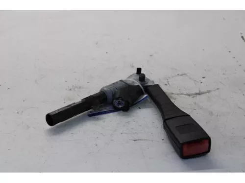 Gordelspanner rechts-7878626 (13958470)