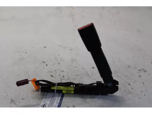 Gordelspanner rechts-7878960 (13378916)