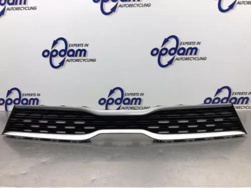 Grille-8056784
